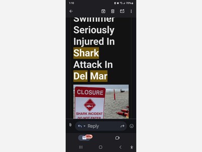 Del Mar shark attack